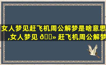 女人梦见赶飞机周公解梦是啥意思,女人梦见 🌻 赶飞机周公解梦是啥 🌵 意思啊
